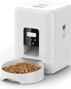 White Button Style / Uk