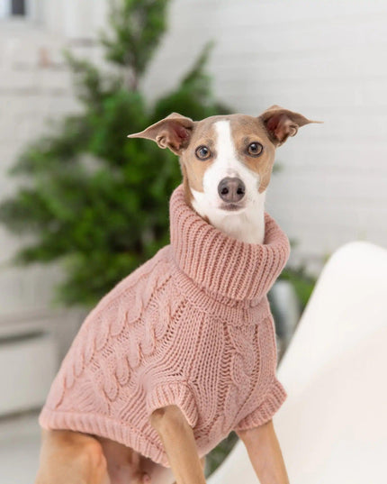 Snuggly Chalet Pet Sweater