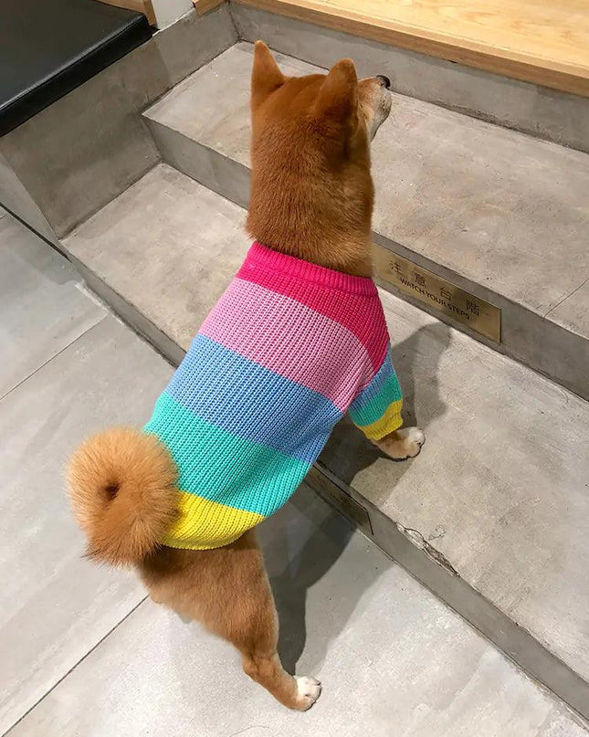 Puppy Knitted Rainbow Sweater