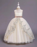 Apricot Ball Gown / 170cm