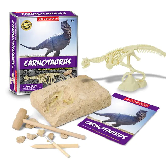 Dinosaur Fossil Excavation Kits Education