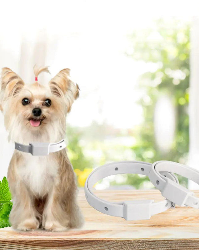 Tick Repellent Pet Collar