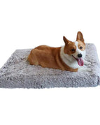 Coffee White / Large