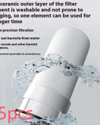 A2 Special Filter Element / 5 PCS