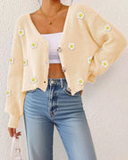 Apricot Color / S