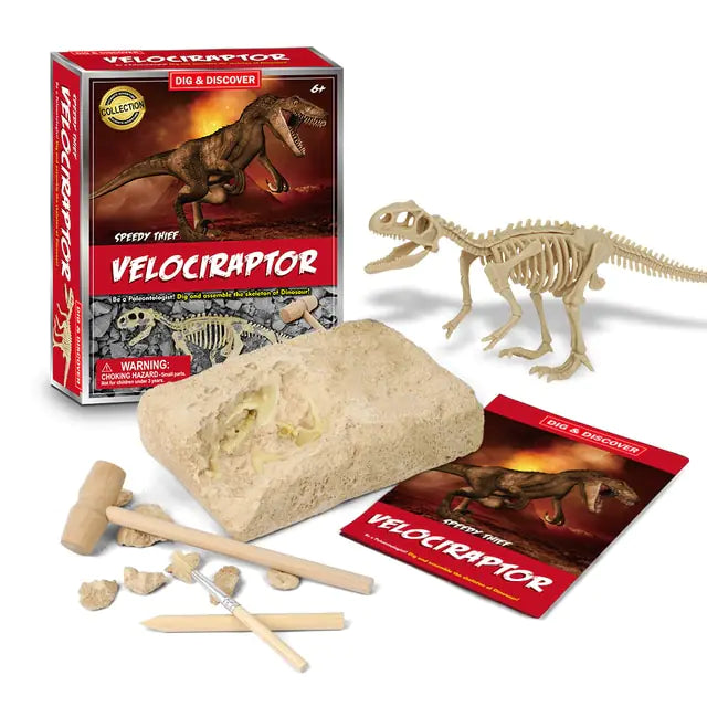 Dinosaur Fossil Excavation Kits Education