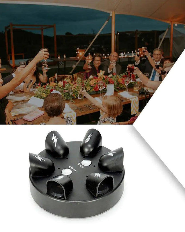 Electric Shocking Roulette Toy