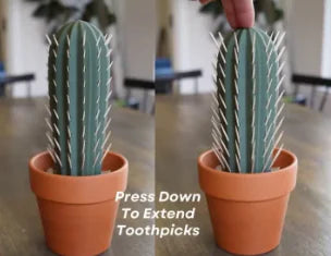 Cactus Simulation Potted Toothpick Box