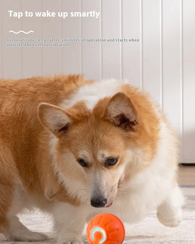 Smart Interactive Dog Toy Ball
