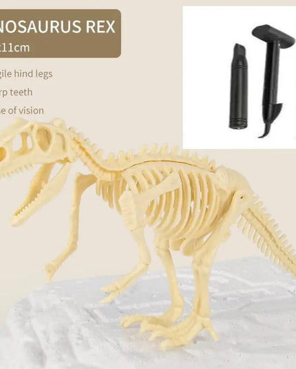 Dinosaur Fossils Archaeological Excavation Toy