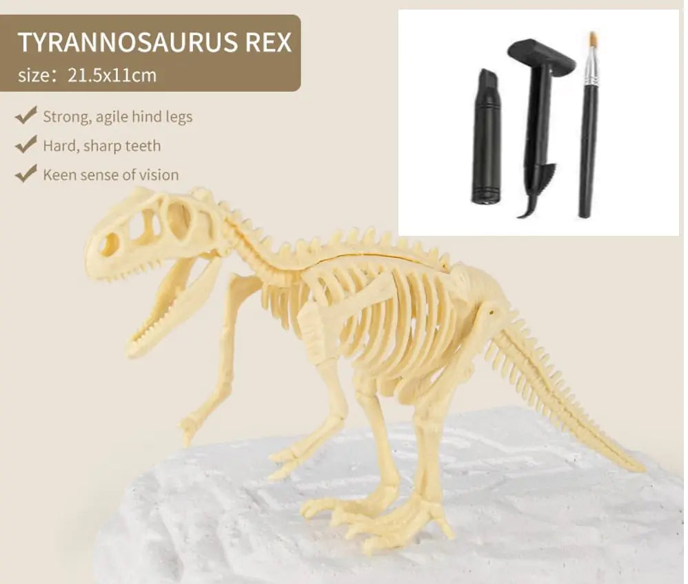 Dinosaur Fossils Archaeological Excavation Toy