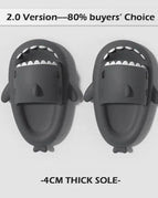 2.0Dark gray / 38-39(24cm)