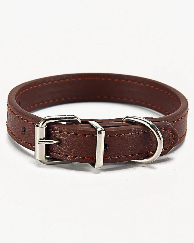 Paws & Whiskers Collar