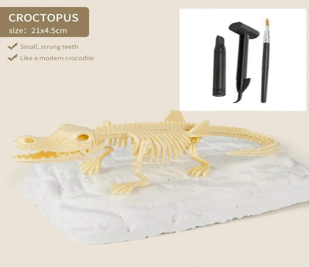 Dinosaur Fossils Archaeological Excavation Toy