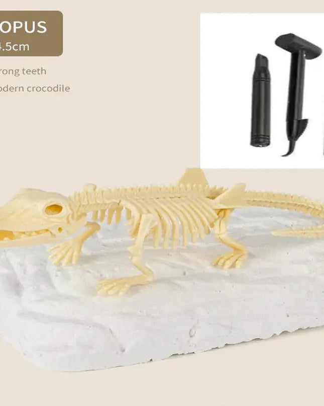 Dinosaur Fossils Archaeological Excavation Toy
