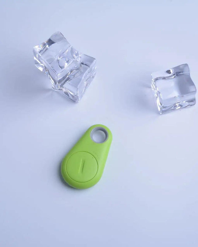 Paw Anti-Lost Device