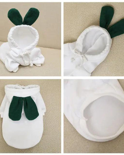 Fruit Pet Coat Hoodies