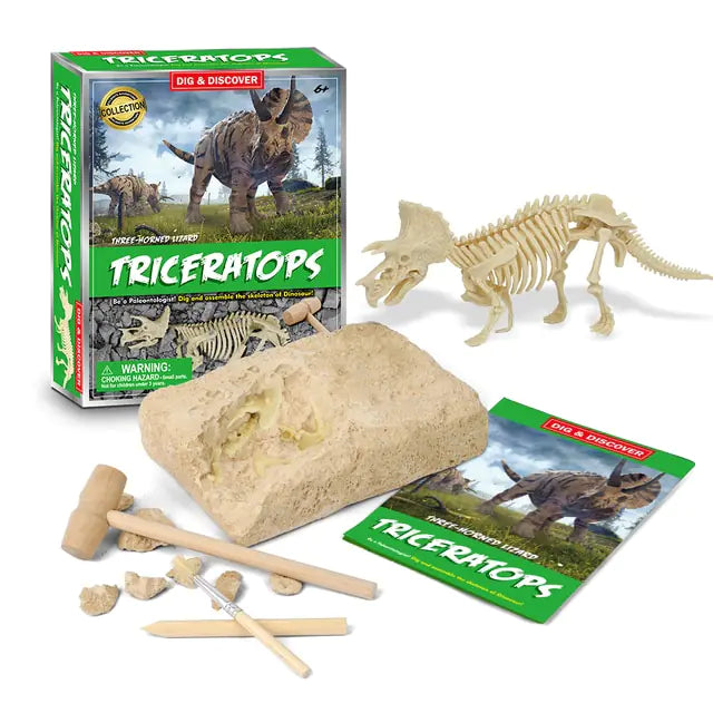 Dinosaur Fossil Excavation Kits Education