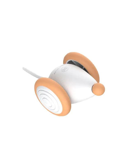 Wicked Mouse New Cat Toy