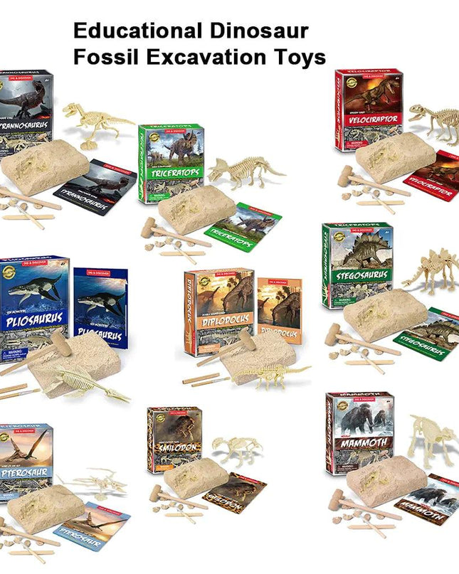 Dinosaur Fossil Excavation Kits Education
