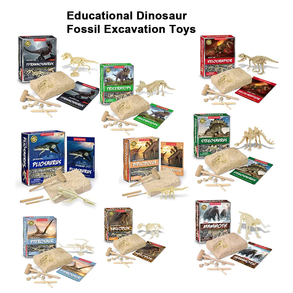 Dinosaur Fossil Excavation Kits Education