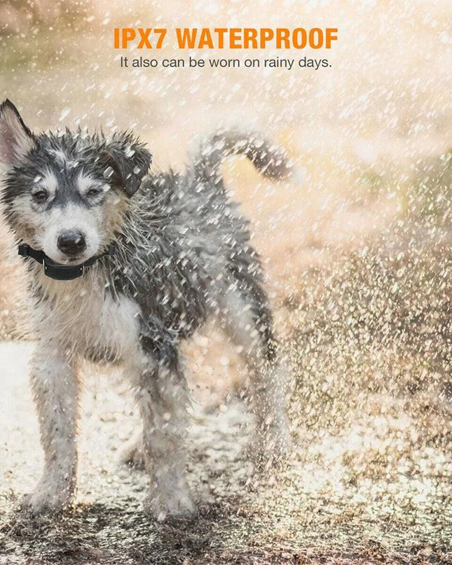 Anti Bark Dog Collar