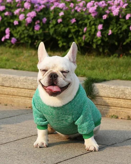Classic Warm Dog Sweater