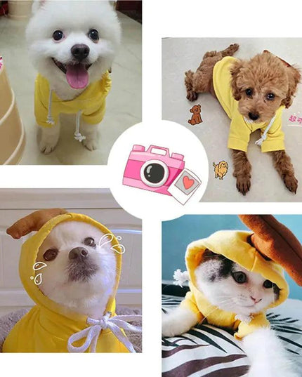 Fruit Pet Coat Hoodies