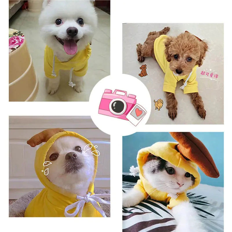 Fruit Pet Coat Hoodies