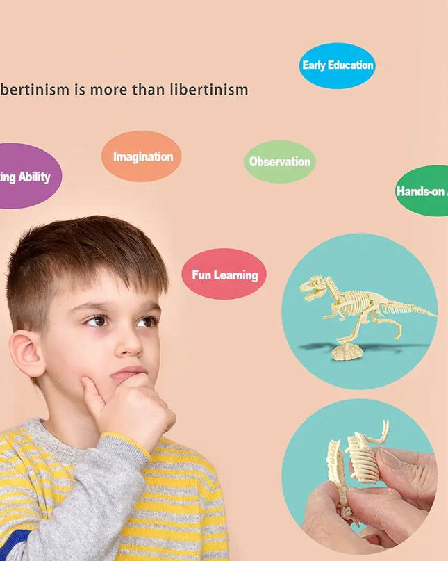 Dinosaur Fossil Excavation Kits Education