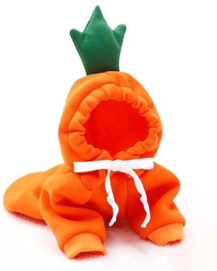 Fruit Pet Coat Hoodies