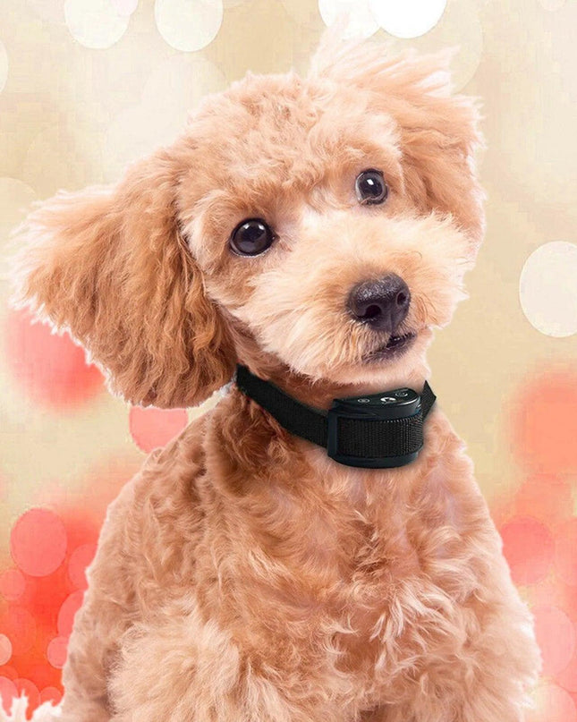 Anti Bark Dog Collar