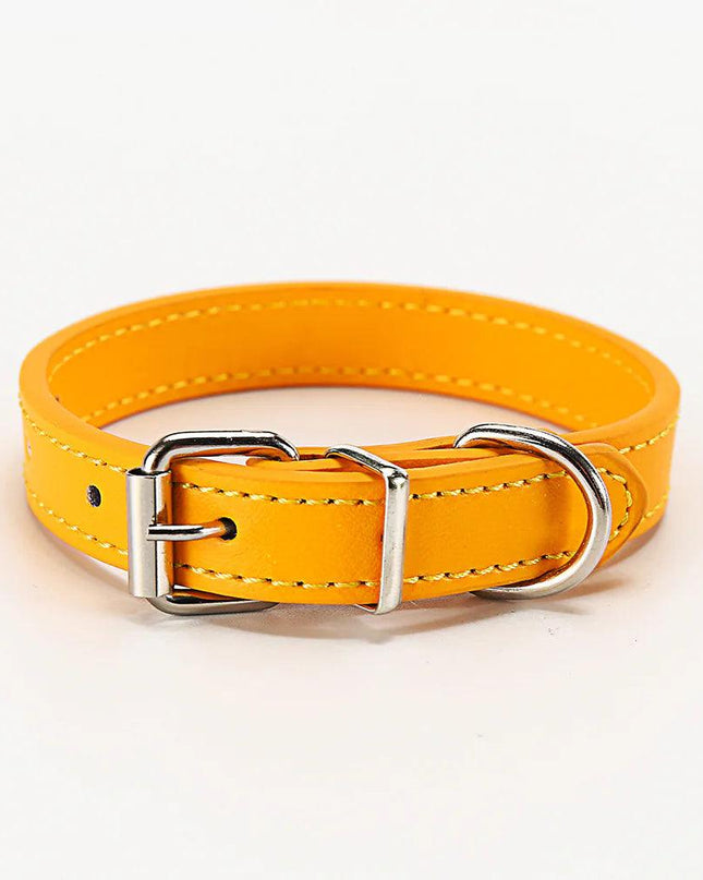 Paws & Whiskers Collar