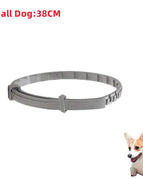 Small Dog OPP Bag / 38cm