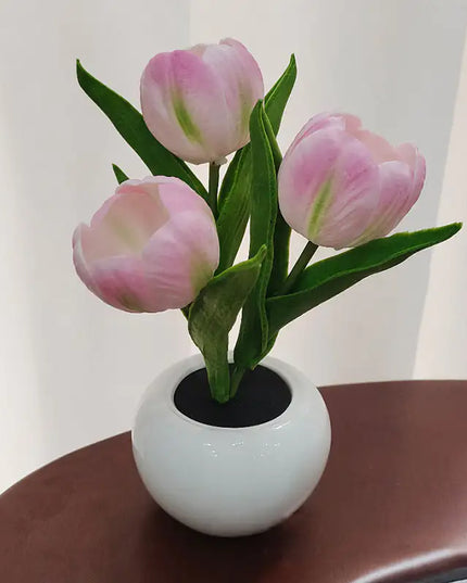 Bonsai Tulips Nightlight