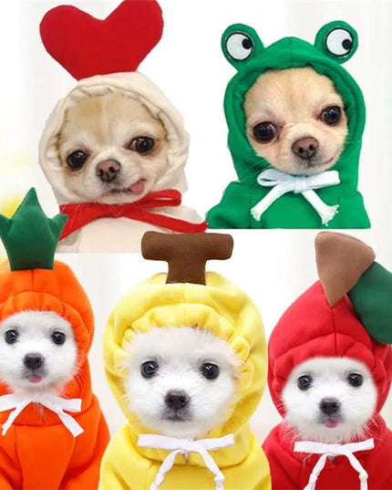 Fruit Pet Coat Hoodies