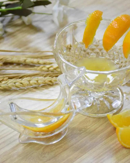 Fruit Mini Manual Juicer