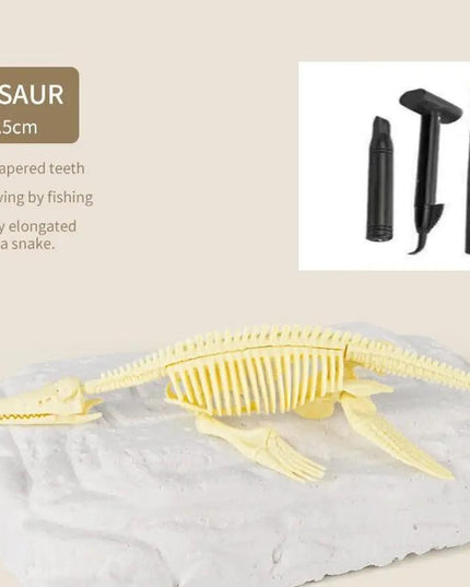 Dinosaur Fossils Archaeological Excavation Toy