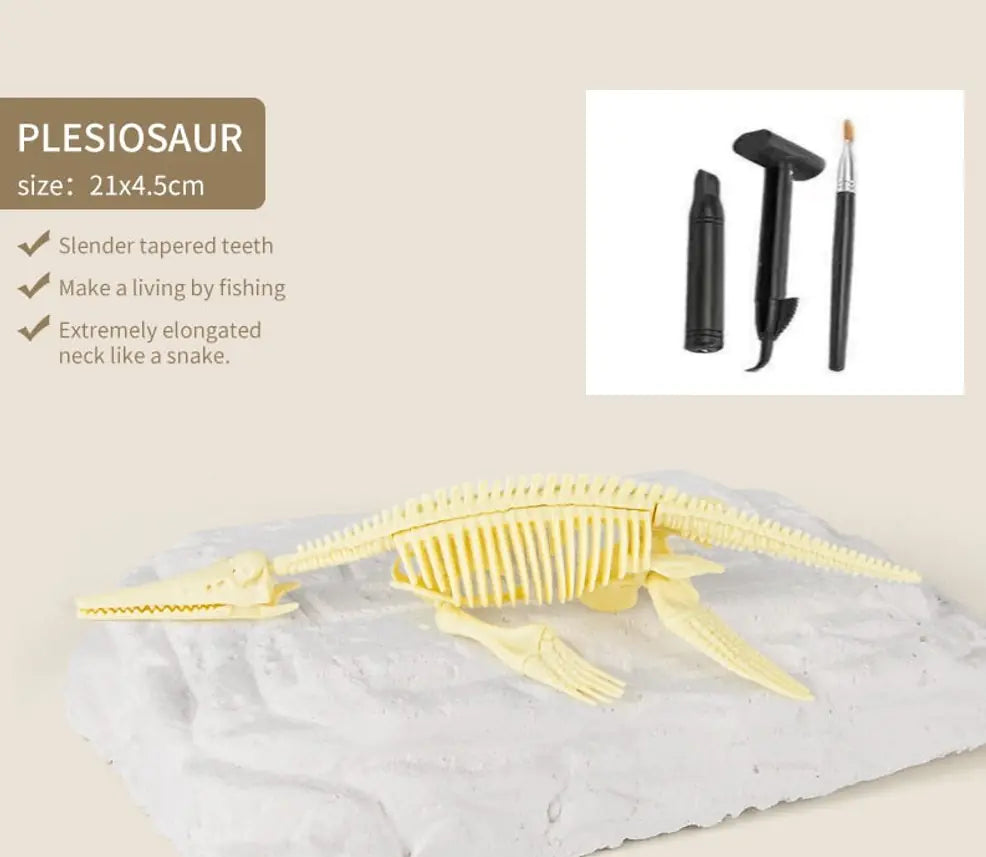 Dinosaur Fossils Archaeological Excavation Toy