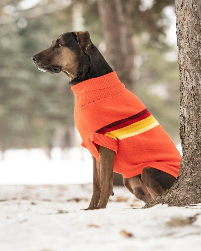 Retro Sweater - Orange