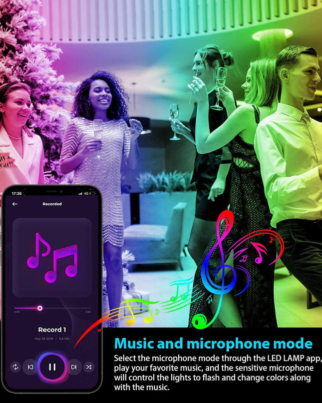 Christmas Decoration Lights