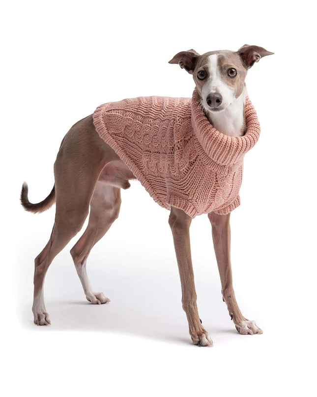 Snuggly Chalet Pet Sweater