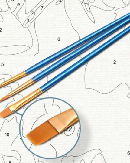 DIY Painting By Numbers Kit