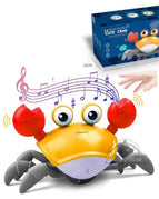 Crab-Orange with Box