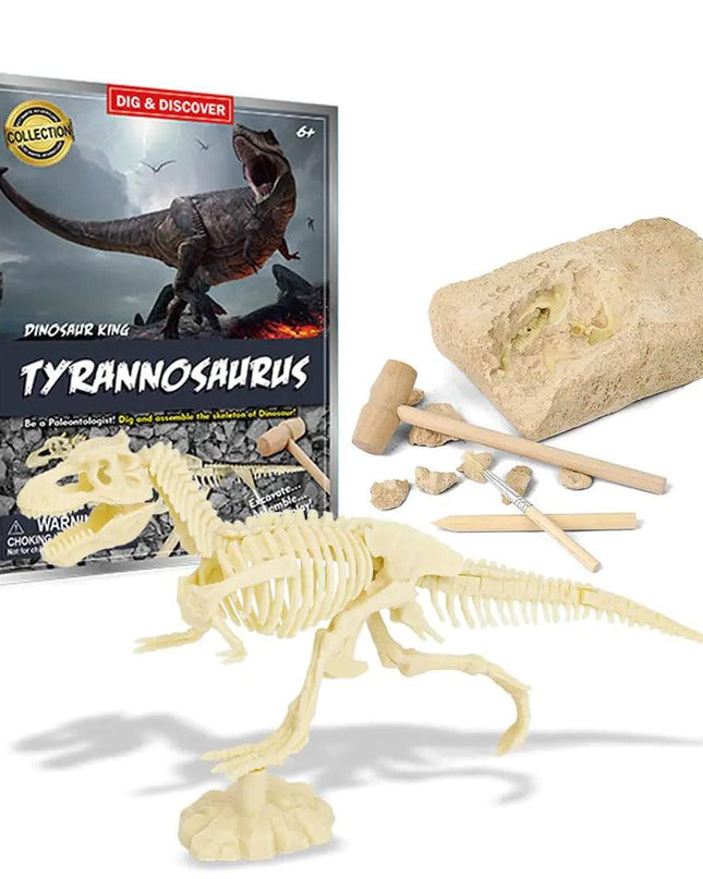 Dinosaur Fossil Excavation Kits Education