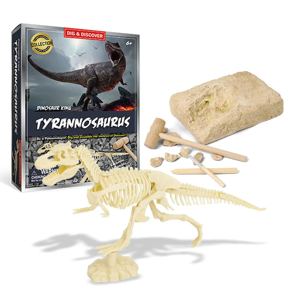 Dinosaur Fossil Excavation Kits Education