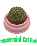 Pink / Mint Flavor 1