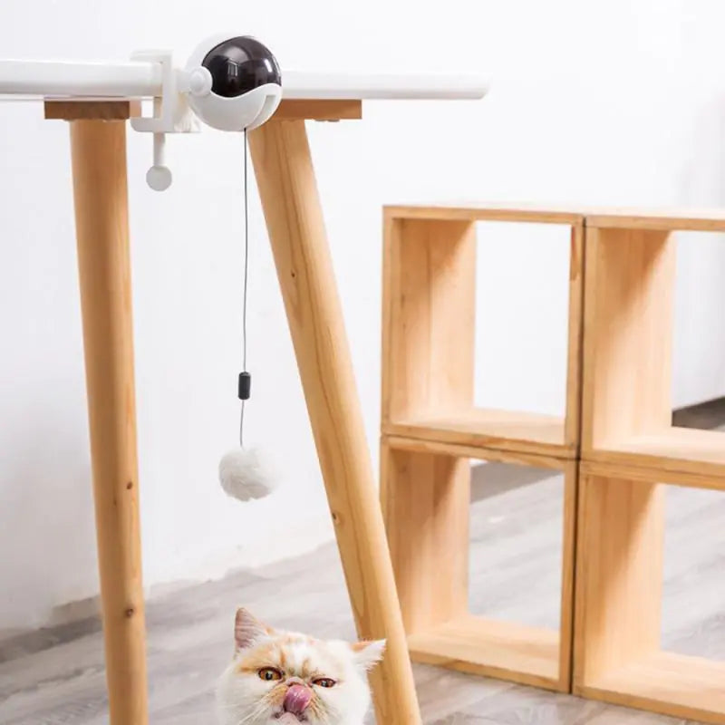 Electric Cat Toy Lifting Ball