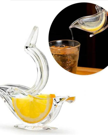 Fruit Mini Manual Juicer