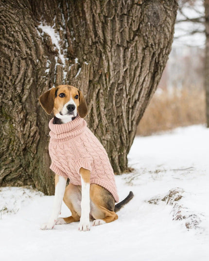 Snuggly Chalet Pet Sweater